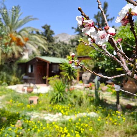 Levantes Garden House - Keratokampos Exteriér fotografie