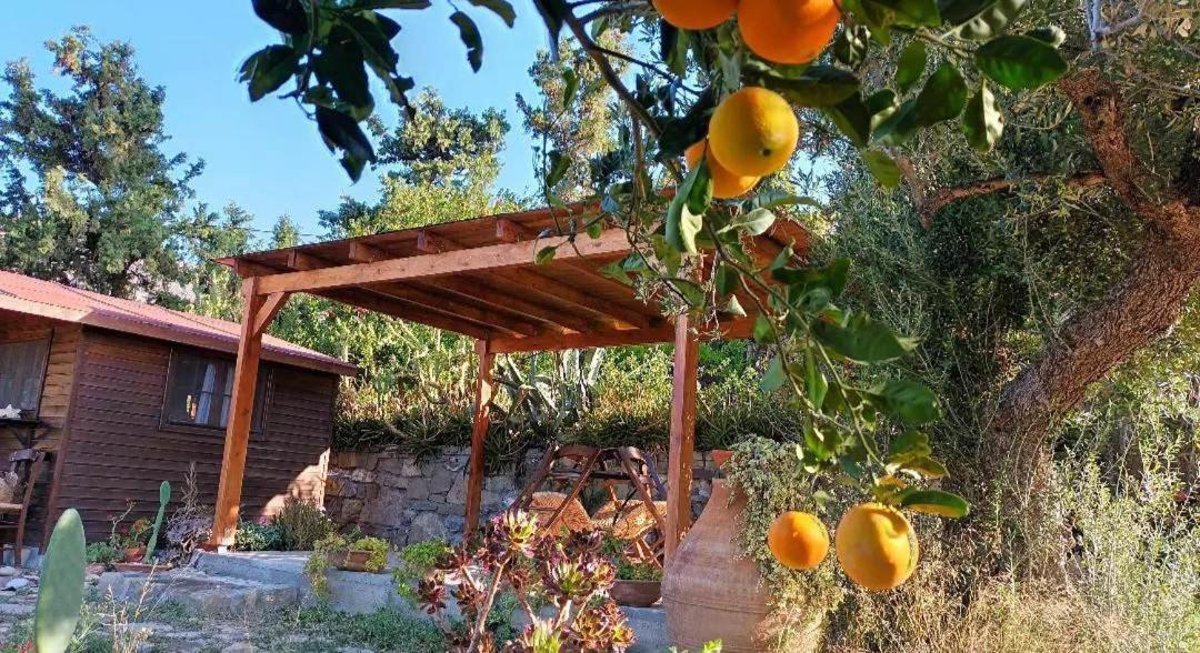 Levantes Garden House - Keratokampos Exteriér fotografie