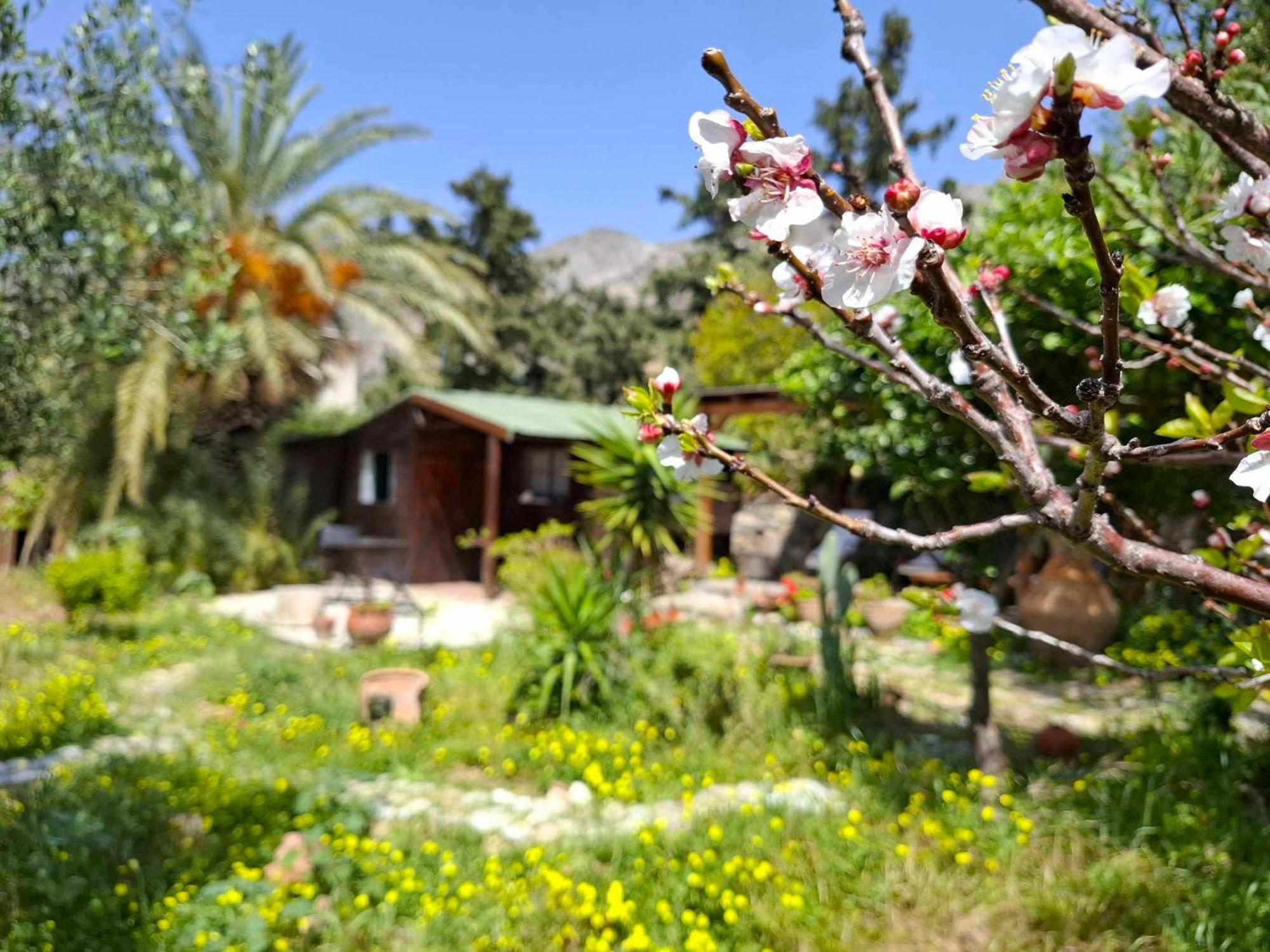 Levantes Garden House - Keratokampos Exteriér fotografie